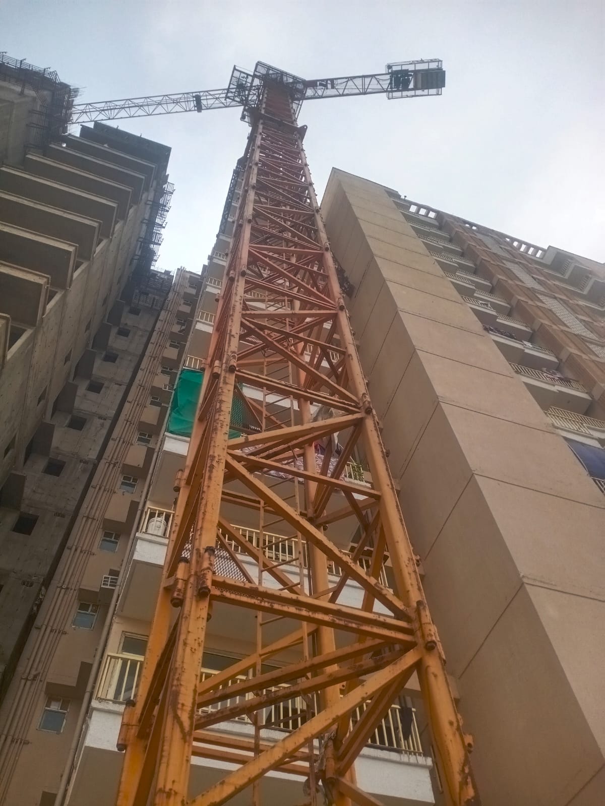 ZOOMLION TOWER CRANE TC7035B-16 2014