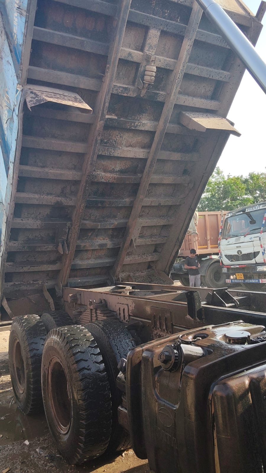 TATA SIGNA DUMP TRUCK 2830.K 2023