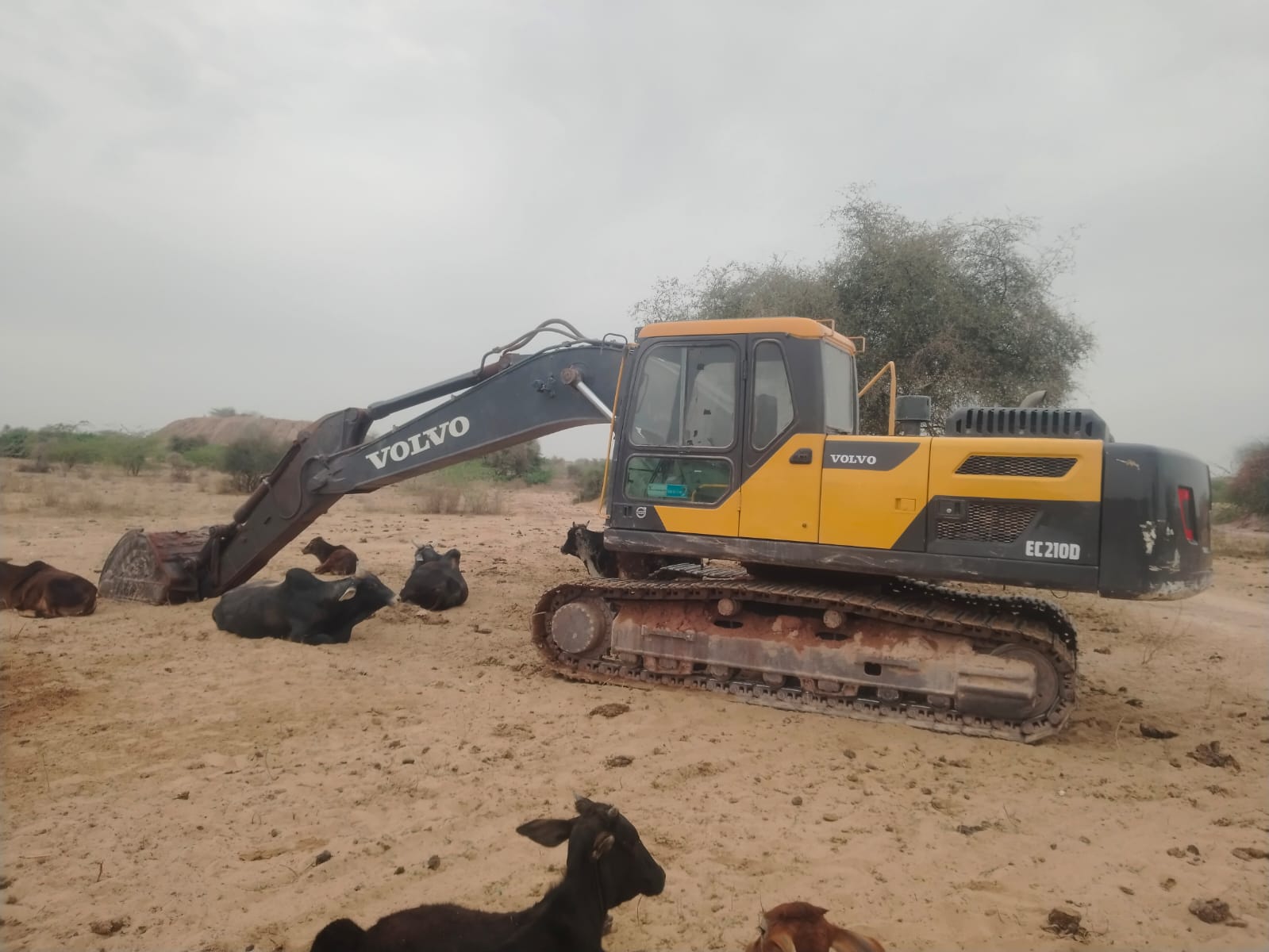 VOLVO EXCAVATOR EC210DD 2017