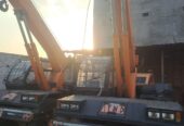 ACE FARANA 15XWF 2020