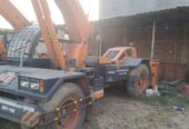 ACE FARANA 15XWF 2020