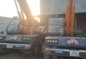 ACE FARANA 15XWF 2020
