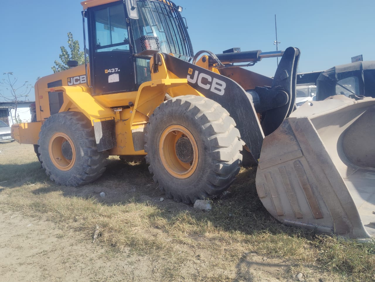 JCB WHEEL LOADER 437 2024